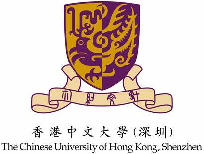 CUHK-Shenzhen, Shenzhen Research Institute of Big Data